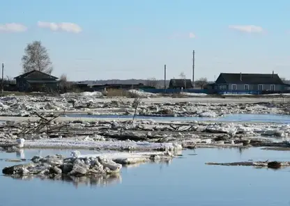 Ледоход на Оби в Томской области за сутки преодолел 216 километров