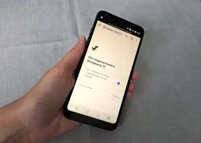 В Госдуме заявили о завершении работы по импортозамещению WhatsApp