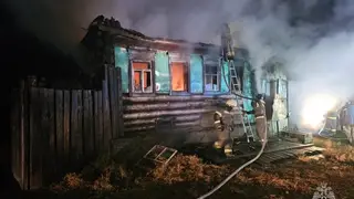 В Красноярском крае за сутки на пожарах спасли 23 человека