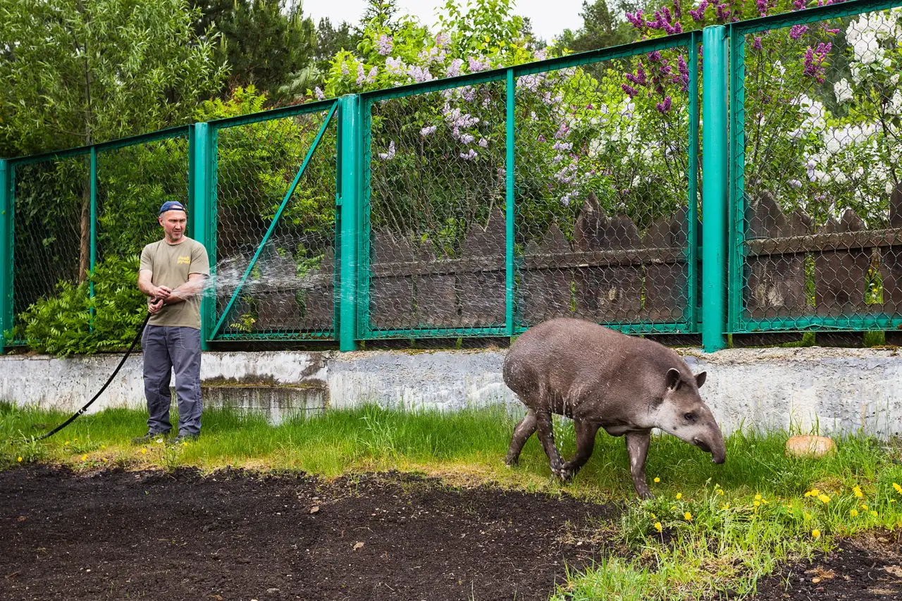 Фото: Олег Чипура