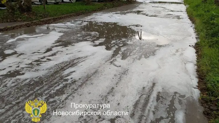 Неизвестная организация устроила мыльную реку в Новосибирской области