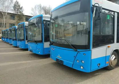 В Забайкалье обновят автобусный парк за 400 миллионов рублей