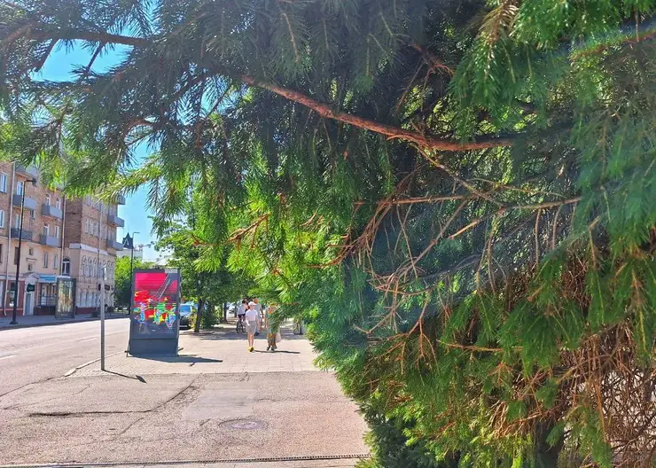 В Красноярске во вторник ожидается 30-градусная жара и ветер