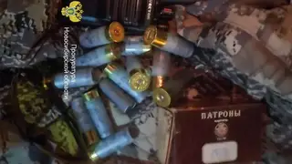 Застрелившего главу Ленинского района Новосибирска отпустили под подписку о невыезде