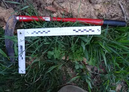 Молодые супруги отправились в колонию на 14 лет за жестокое убийство пожилой соседки в Хакасии