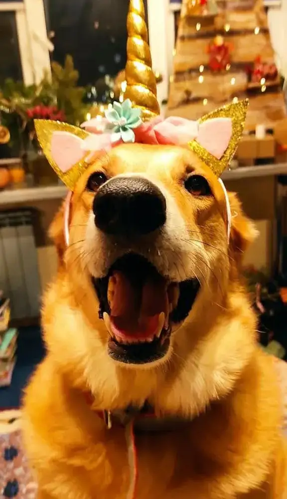 Фото: Марина Якубенко