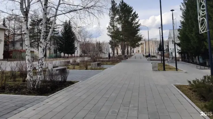 В Бородино Красноярского края обезвредили медведя