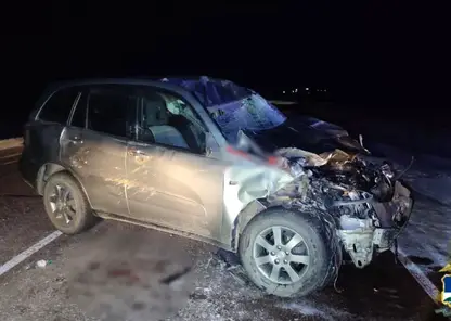 В Бурятии автомобиль сбил лошадь: пострадали водитель и пассажир