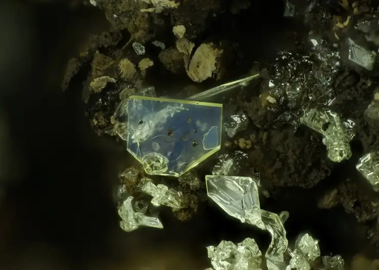 Бактерии-«поджигатели»: томские ученые раскрыли неожиданную причину возгорания угля