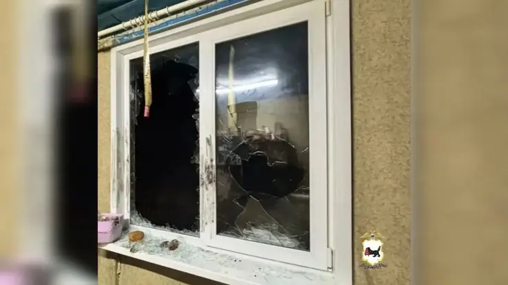 Из-за поросёнка четверо парней разгромили дом соседа в Иркутской области