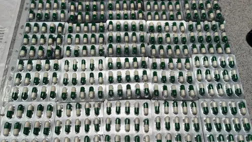 В Хакасии таможенники перехватили крупную партию лирики, прибывшей по почте из Индии