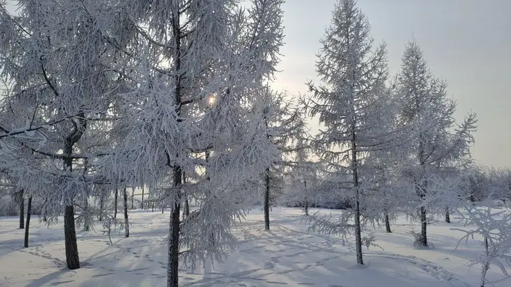 Снег и -22. Прогноз погоды на субботу, 24 января в Красноярске