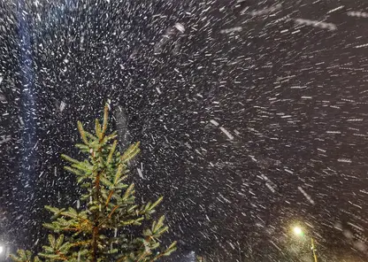 Тёплые дни позади. На Красноярск надвигается затяжной холод с 23 января