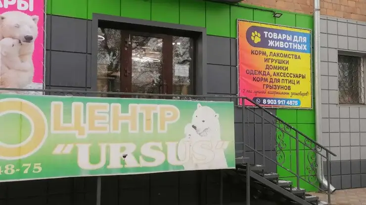 В Хакасии возбуждены дела против ветеринарных клиник за продажу лекарств без лицензии