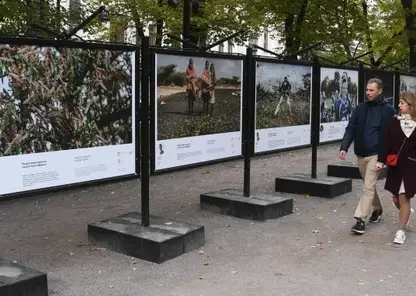 В Хабаровском крае определили победителей экологического фотоконкурса