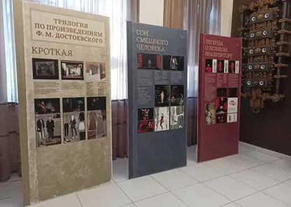 «Единая Россия» выделила средства на постановку спектакля «Кроткая» в Красноярском театре кукол