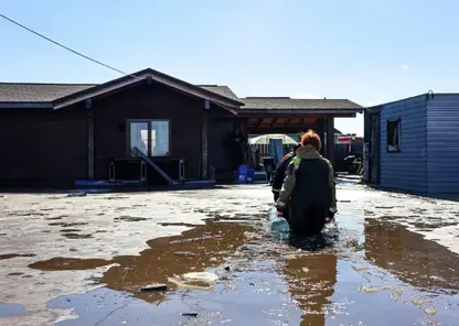 Уровень грунтовых вод в Омской области обновил десятилетний рекорд