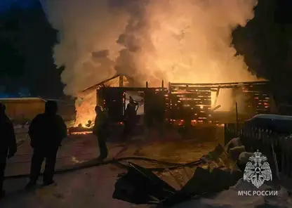 Пять человек погибли при пожаре в якутском селе