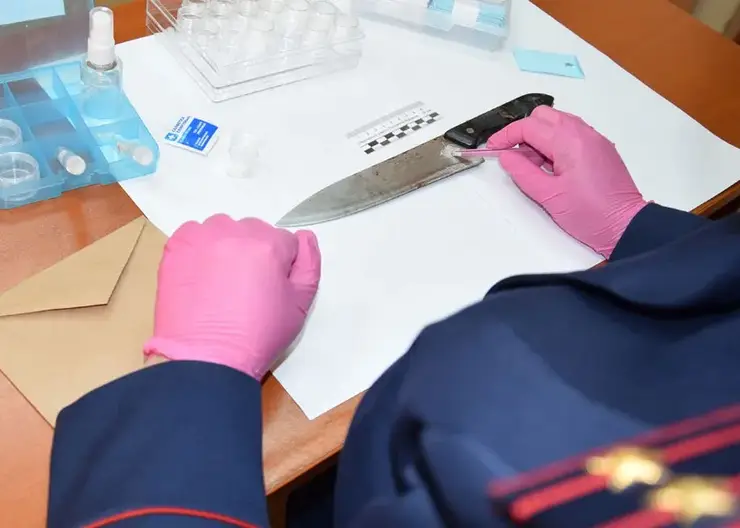 В Хабаровском крае женщина пыталась зарезать сожителя в новогодние праздники