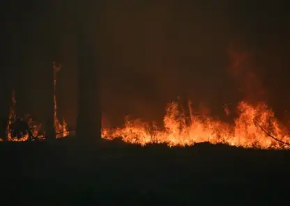 Лесной пожар начался в Байкало-Ленском заповеднике Иркутской области