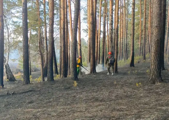 С 20 марта в семи округах Забайкалья начнется пожароопасный сезон