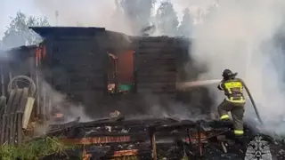 В Красноярском крае за сутки ликвидировали 24 пожара и погиб 1 человек В Красноярском крае за сутки ликвидировали 24 пожара и погиб 1 человек