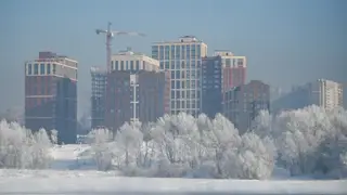 Жителям Новосибирской области в 2025 году предоставили около четырех миллионов данных о недвижимости