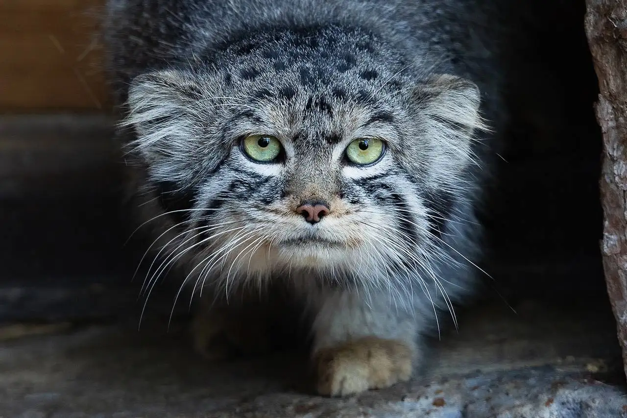 Фото: Парк «Роев ручей» Красноярск