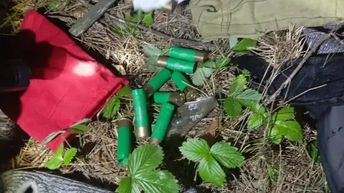 Железногорец открыл стрельбу из ружья по автомобилю соседа-дачника (видео)