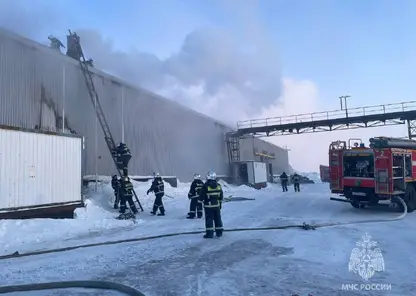 В Норильске загорелся склад отходов