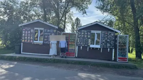 Подросток подозревается в ограблении ларьков на острове Татышев в Красноярске