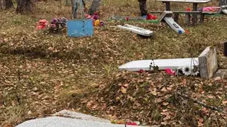 В Новосибирской области трое детей разгромили надгробия на кладбище