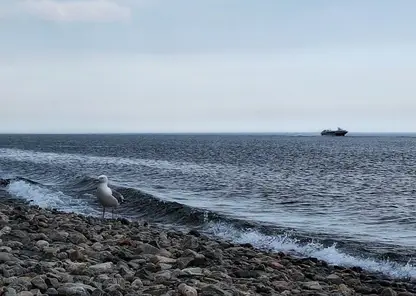 В Красноярском крае за сутки утонули два человека
