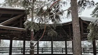 12 февраля в Красноярске заметно похолодает