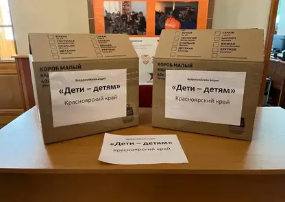 Жители Красноярска могут отдать свои книги детям из ДНР и ЛНР