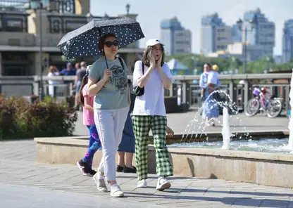 Жару до +31 градуса пообещали синоптики в Красноярске 28 августа