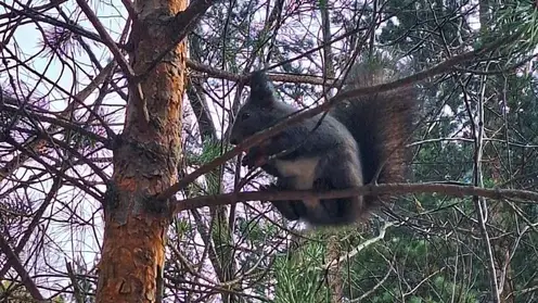 Тёплый финал октября: красноярцев ждёт приятный сюрприз в последний день месяца
