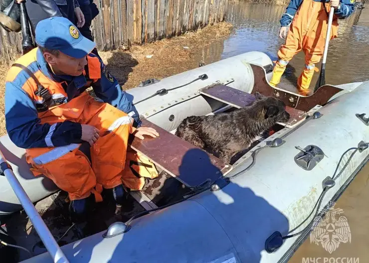 Вода ушла с подтопленных из-за паводка территорий в Улан-Удэ