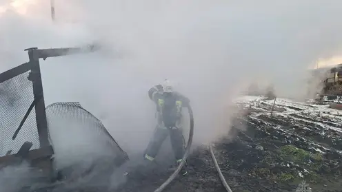 В Красноярском крае за сутки потушили 14 пожаров