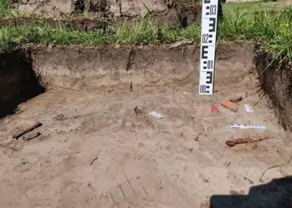 От глиняных сосудов до костей животных: в Татышев-парке нашли артефакты возрастом до 3 тысяч лет