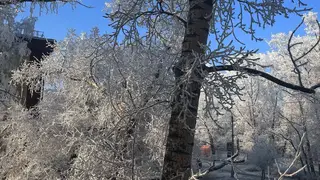 При какой температуре отменяют уроки в школах Красноярска в морозы: официальные нормы При какой температуре отменяют уроки в школах Красноярска в морозы: официальные нормы