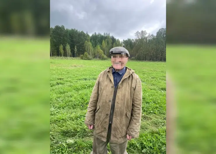 Сутки в тайге: в Красноярском крае нашли измученного жаждой 90-летнего грибника