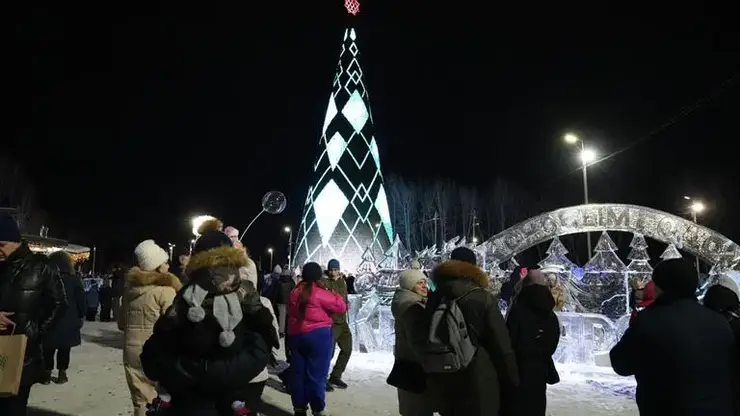 Главная городская елка открылась в Татышев-парке