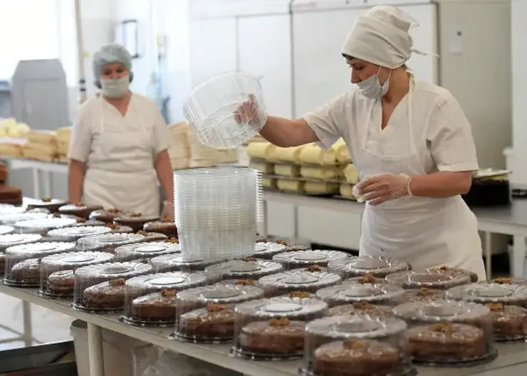 В красноярских тортах нашли кишечную палочку, дрожжи и плесень