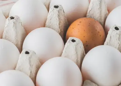 Красноярка случайно разбила в магазине упаковку яиц — ее заставили заплатить за это