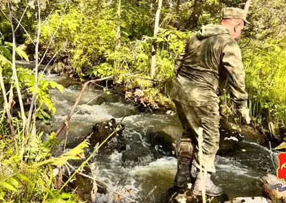 Кузбасский подросток, заблудившийся в тайге, найден в соседнем регионе спустя двое суток (видео)