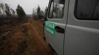 Авиамониторинг лесов нарастят в Иркутской области перед сезоном пожаров