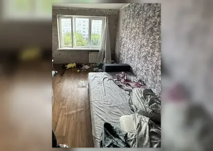 Двухлетний ребёнок погиб после падения из окна пятого этажа в Красноярске