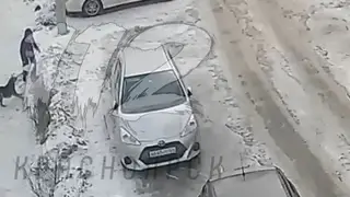 В Красноярске во дворе дома на Свердловской собака напала на ребенка В Красноярске во дворе дома на Свердловской собака напала на ребенка