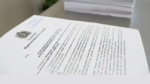 В Красноярском крае приняли бюджет на 2026-2028 годы
